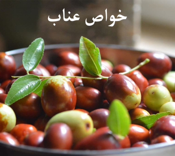 خواص عناب